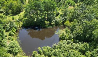 80 N4130 Rd, Antlers, OK 74523