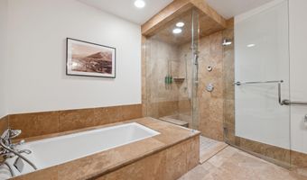 415 E Dean St Unit 36 Week 33, Aspen, CO 81611