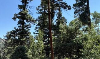 1435 Clarke Mountain Ln, Antonito, CO 81120