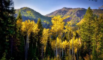 9380 E Kessler View Ln, Brighton, UT 84121