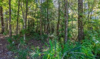 Barnes Rd, Andrews, SC 29510