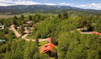 150 CHOKECHERRY Dr, Alpine, WY 83128