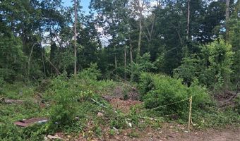 25 Oak Hill Dr 1, Asheville, NC 28806