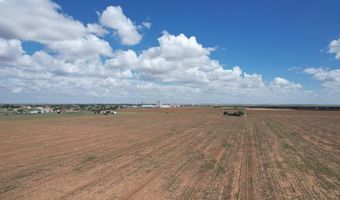 Shepard St, Abernathy, TX 79311