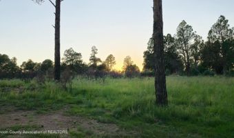 118 Eagle Ridge Rd, Alto, NM 88312