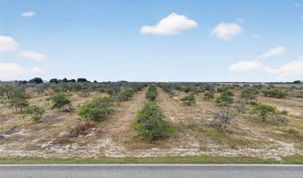 ALTURAS BABSON PARK CUTOFF, Bartow, FL 33830