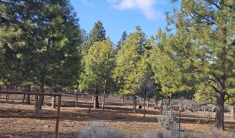 6232 Bufflehead Dr, Bonanza, OR 97623
