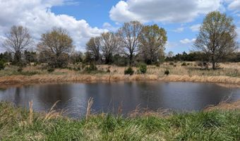 56 Highway, Ash Flat, AR 72513