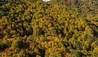 99999 Harwood Rd, Barnardsville, NC 28709