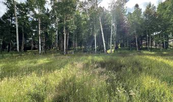 Lot 577 El Camino Real, Angel Fire, NM 87710