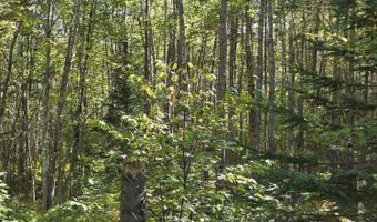 Back Searsport Road, Belfast, ME 04915