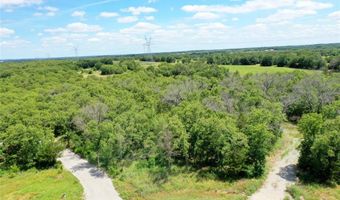 120 Bear Cat Ct, Alvord, TX 76225