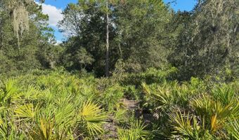 0 ALTURAS BABSON PARK CUT OFF Rd, Bartow, FL 33830