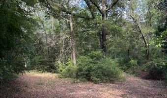 570 Bethany Church Rd, Bainbridge, GA 39817