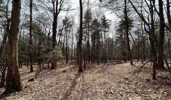 385 ELK CREEK Rd, Aaronsburg, PA 16820