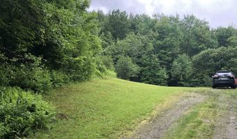 600 Bog Rd, Belvidere Center, VT 05442
