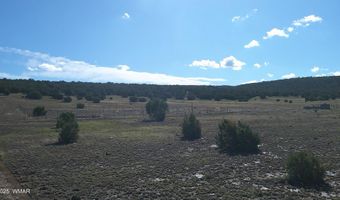 7 N CR 8171, Concho, AZ 85924