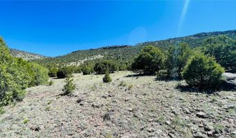 Tr 2 County Rd F, Antonito, CO 81120