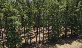 Lot 6 Lighthouse Point, Lincolnton, GA 30817