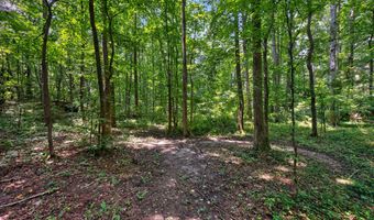 1322 Center Dr, Auburn, GA 30011