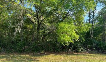 135 Water Oaks Way, Apalachicola, FL 32320