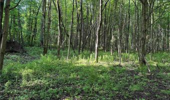 749 Green Rd, Alfred, NY 14803