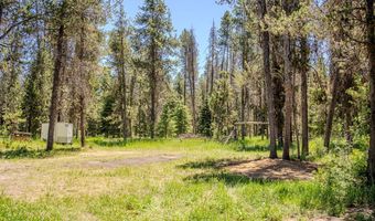 9 11 Red Fox Dr, Cascade, ID 83611