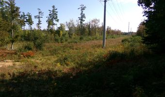 V/L 30AC Lake Winyah Road, Alpena, MI 49707