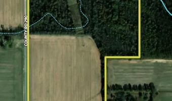 0002 CR-290, Asbury, MO 64832