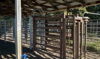 County Road 113, Alton, MO 65606