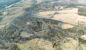 18611 Farm Road 2107, Aurora, MO 65605
