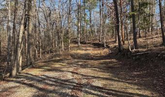 5913 Trout, Alexander, AR 72002