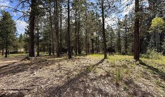 TBD Lot 2 and 3 Timber Haven, Cascade, ID 83611