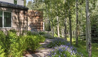 1180 Black Birch Dr, Aspen, CO 81611