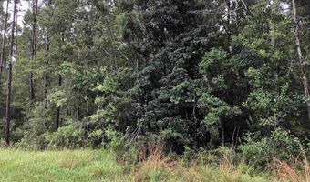 Wilson Road, Elberta, AL 36530