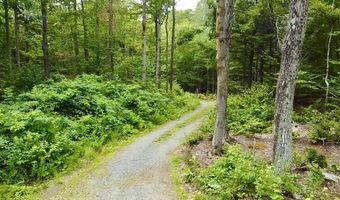 224 Arrau Rd, Andover, VT 05143