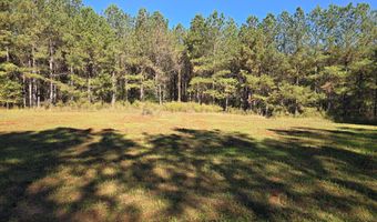 7501 Rainey Morris Rd, Appling, GA 30802