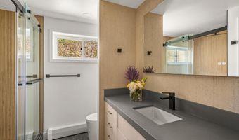 75 Bennett Ct, Aspen, CO 81611