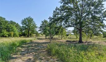 110 Pringle Ct, Alvord, TX 76225