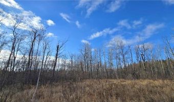 Tbd 359TH LN, Aitkin, MN 56431