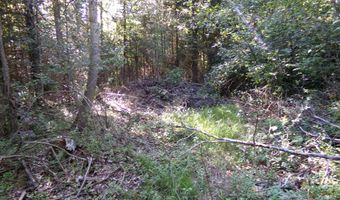 V/L 30AC Lake Winyah Road, Alpena, MI 49707