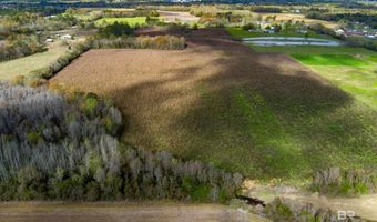 Parcel E Old Brady Road, Bay Minette, AL 36507