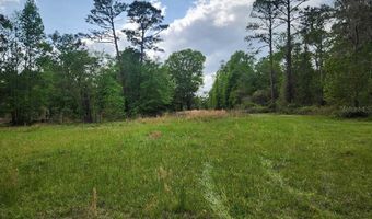 4611 NW 244TH Ave, Alachua, FL 32615