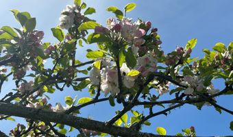 Crestline Loop, Brookings, OR 97415