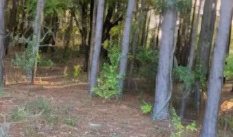 35 Simmons Dr, Camden, SC 29020