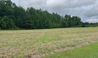 PEAR BLOSSOM Ln, Adamsville, TN 38310