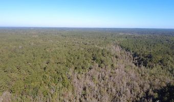 0 Bar M Farm Rd, Andalusia, AL 36421