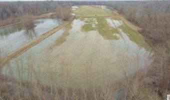 Holloway Landing Road, Barlow, KY 42024