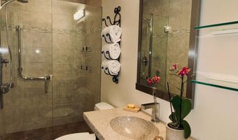 302 Roaring Fork Dr, Aspen, CO 81611