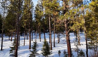 24003 Sidehill Ln, Bonner, MT 59823
